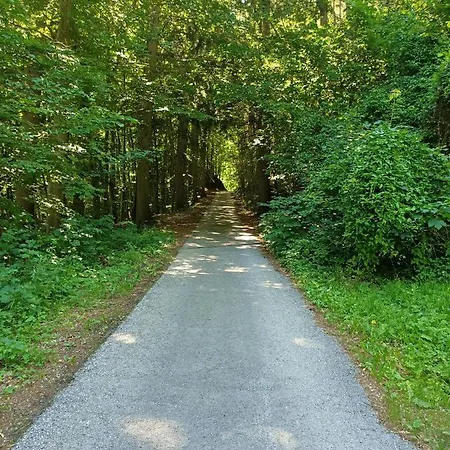 Hanni * Unterburg (Liezen)