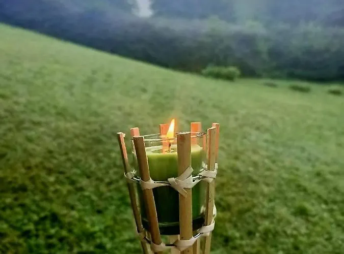 Hanni * Unterburg (Liezen)