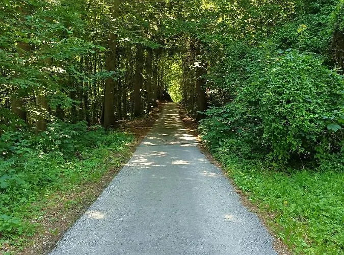 Hanni * Unterburg (Liezen)