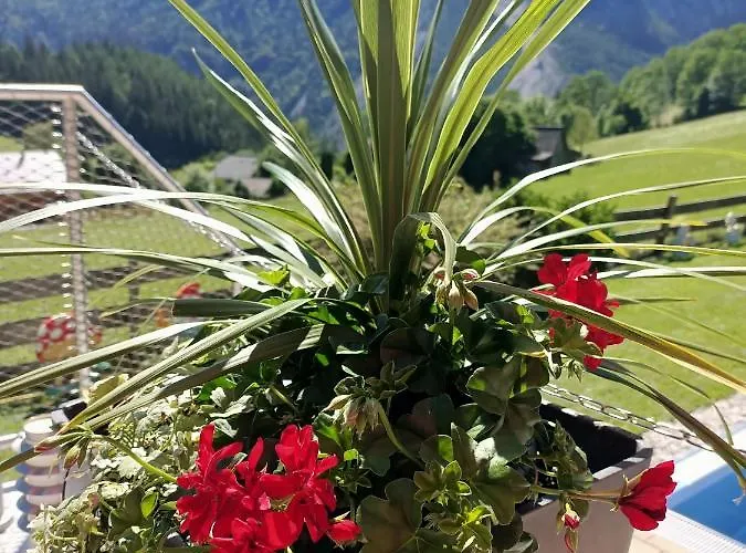 بيت للعطل Hanni Unterburg (Liezen)